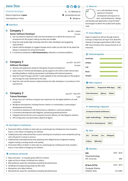 Resume made by proresumes 